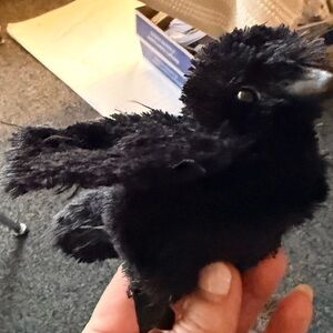 Folkmanis raven finger puppet Black Plush Bird Toy